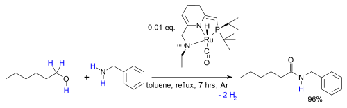 Synthesis of Amides from Alcohols and Amines with Liberation of H2