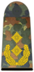 Bundeswehr-OF-7-GM.png