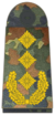 Bundeswehr-OF-8-GL.png