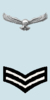 IAF Cpl Arm.png