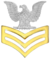 PO1 collar.png