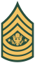 US Army E-9 SMA.svg