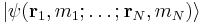 |\psi (\mathbf r_1,m_1;\dots�;\mathbf r_N,m_N)\rangle