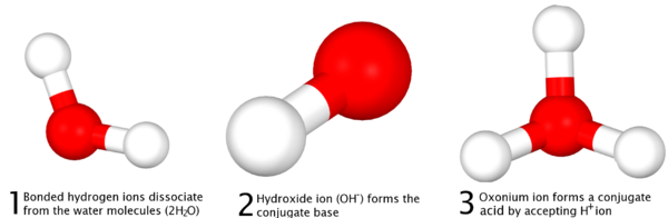 Bronsted-lowry-3d-explanation-diagram.png