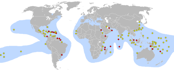 World map showing concentrated nesting sites in the Caribbean and northeast coast of South America. Many other sites are spread across South Pacific islands, with other concentrations in the Red Sea and Persian Gulf, China's East coast, Africa's southeast coast and Indonesia.