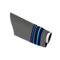 IAF Air Vice Marshal sleeve.png