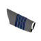 IAF Group Captain sleeve.png