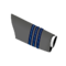 IAF Wing Commander sleeve.png