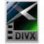 DivX media container icon