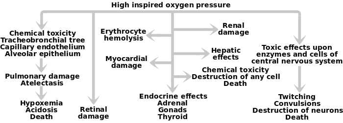 The effects of high inspired oxygen pressure: (1) chemical toxicity, pulmonary damage, hypoxemia; (2) retinal damage, erythrocyte hemolysis, liver damage, heart damage, endocrine effects, kidney damage, destruction of any cell; (3) toxic effects on central nervous system, twitching, convulsions, death.