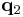 \mathbf{q}_{2}