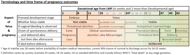 Miscarriage-Pregnancy timeline.png