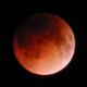 Total lunar eclipse May 4 2004-Jpeter smith.jpg