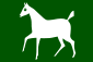 Wiltshorseflag.svg