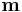 \mathbf{m}