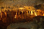 Naracoorte Caves (Naracoorte - South Australia, Australia)