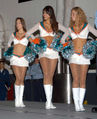 Miami-dolphins-040201-N-2541H-001.jpg