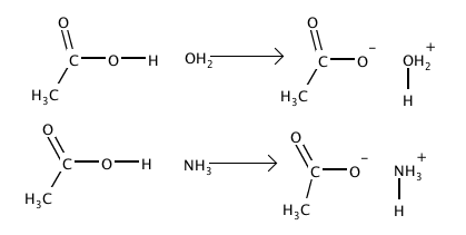 Acid-base.png