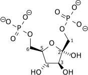 Beta-D-fructose-1,6-bisphosphate wpmp.png