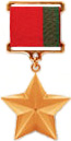 Hero of Belarus medal official drawing.jpg