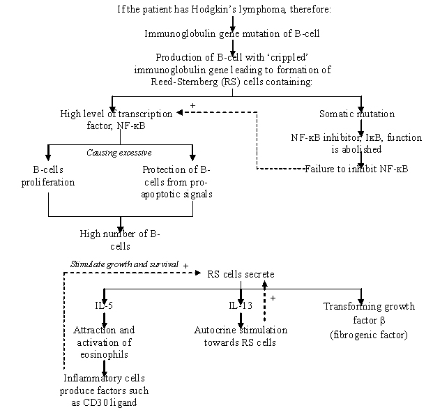 Mind map 3.jpg