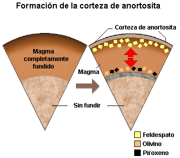 Formation of the anorthosite crust