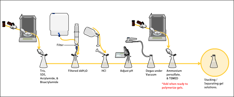 SDS-PAGE acrylamide stock.png