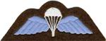 Wings badge.JPG