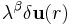 \lambda^{\beta}\delta \mathbf{u}(r)