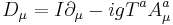 \ D_\mu=I\partial_\mu-igT^aA^a_\mu 