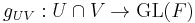 g_{UV}�: U\cap V \to \operatorname{GL}(F)