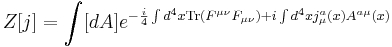 \ Z[j]=\int [dA]e^{- \frac{i}{4} \int d^4x\operatorname{Tr}(F^{\mu \nu} F_{\mu \nu})+i\int d^4x j^a_\mu(x)A^{a\mu}(x)}