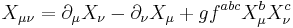 X_{\mu\nu}=\partial_\mu X_\nu - \partial_\nu X_\mu + g f^{abc}X^{b}_{\mu}X^{c}_{\nu}