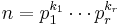 n = p_1^{k_1} \cdots p_r^{k_r}