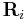 \mathbf{R}_{i}