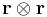 \mathbf{r}\otimes \mathbf{r}