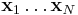 \mathbf{x}_1 \ldots \mathbf{x}_N