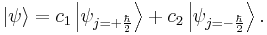 |\psi\rangle = c_1\left|\psi_{j = +\frac{\hbar}{2}}\right\rangle + c_2\left|\psi_{j = -\frac{\hbar}{2}}\right\rangle. 