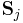 \mathbf{S}_{j}