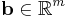 \mathbf{b} \in \mathbb{R}^m