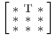 \Bigl[\begin{smallmatrix}
\mathrm{*}&\mathrm{T}&\mathrm{*}\\
\mathrm{*}&\mathrm{*}&\mathrm{*}\\
\mathrm{*}&\mathrm{*}&\mathrm{*}
\end{smallmatrix}\Bigr]