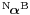 \scriptstyle{{}^\mathrm{N}\!\boldsymbol{\alpha}^\mathrm{B}}