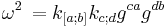 \omega ^2 \, = k_{[a;b]}k_{c;d}g^{ca}g^{db}