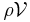 \rho\mathcal{V}