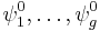  \psi^0_1, \ldots, \psi^0_g 