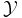 \mathcal{Y}