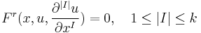  F^r(x, u, \frac{\partial^{|I|}u }{\partial x^I})=0, \quad 1\le |I|\le k 