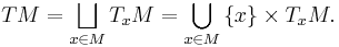 TM = \bigsqcup_{x\in M}T_xM=\bigcup_{x\in M} \left\{x\right\}\times T_xM.