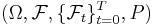 (\Omega,\mathcal{F},\{\mathcal{F}_t\}_{t=0}^T,P)