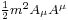 \scriptstyle\frac{1}{2} m^2 A_{\mu}A^{\mu}